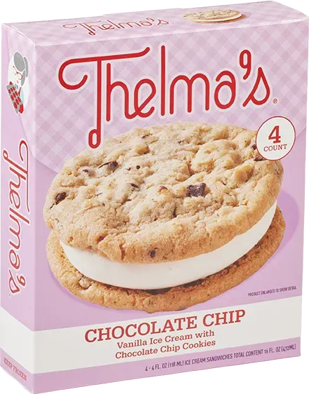 Chocolate Chip Ice Cream Sandwich