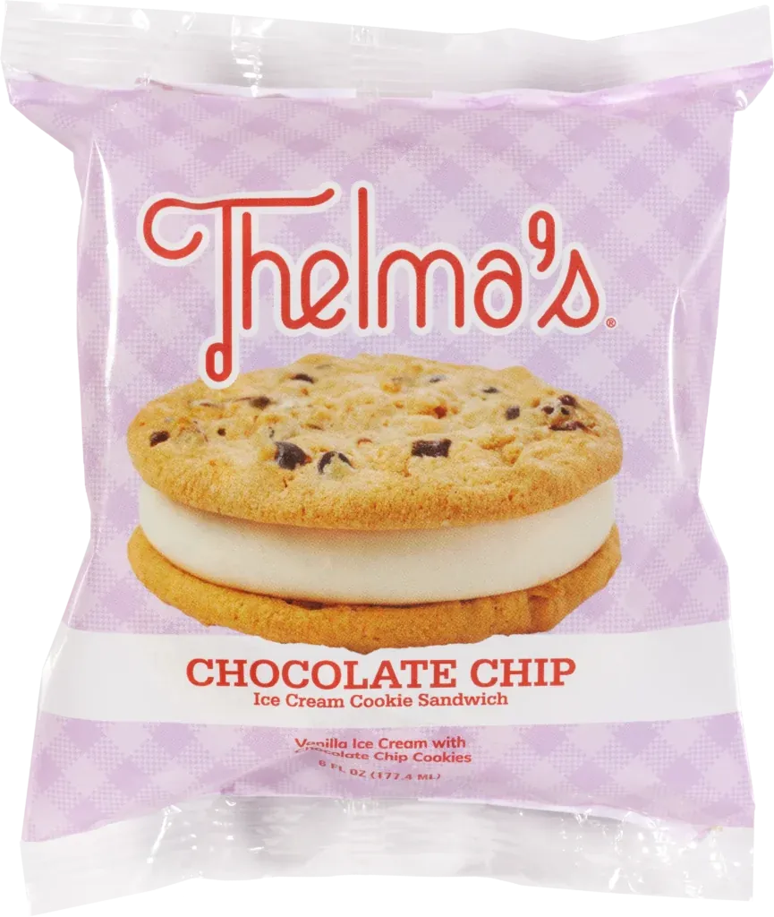 Chocolate Chip Ice Cream Sandwich